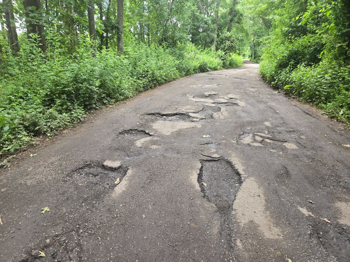 Multiple Potholes Reported Near Greenleaf Street